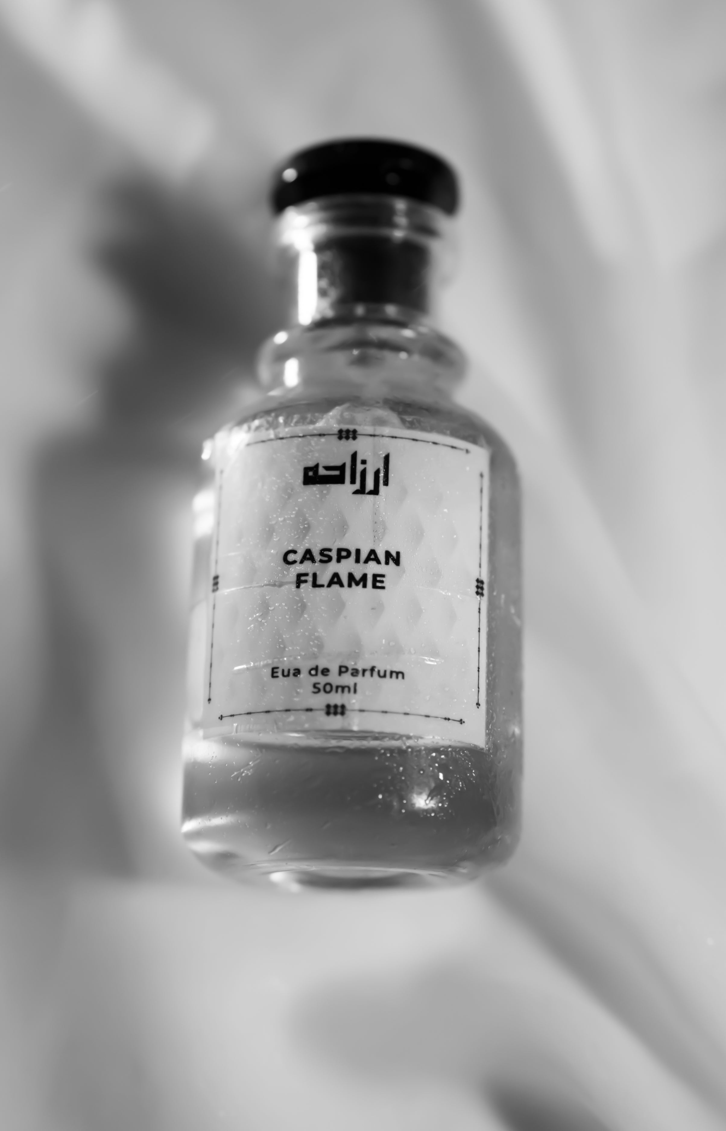 ARZAHA CASPIAN FALME-INSPIRED BY MEGAMARE ORTO PARISI